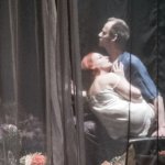 KOČKA NA ROZPÁLENÉ PLECHOVÉ STŘEŠE - foto 7