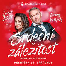 Srdeční záležitost