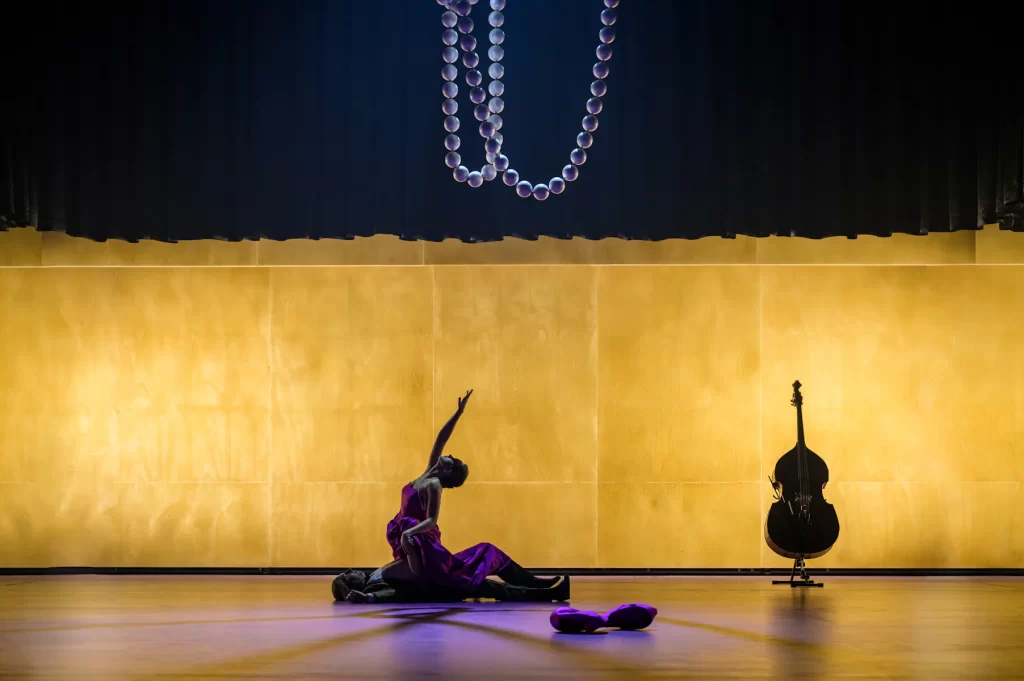 Pani Bovaryova ve Stavovskem Divadle 8